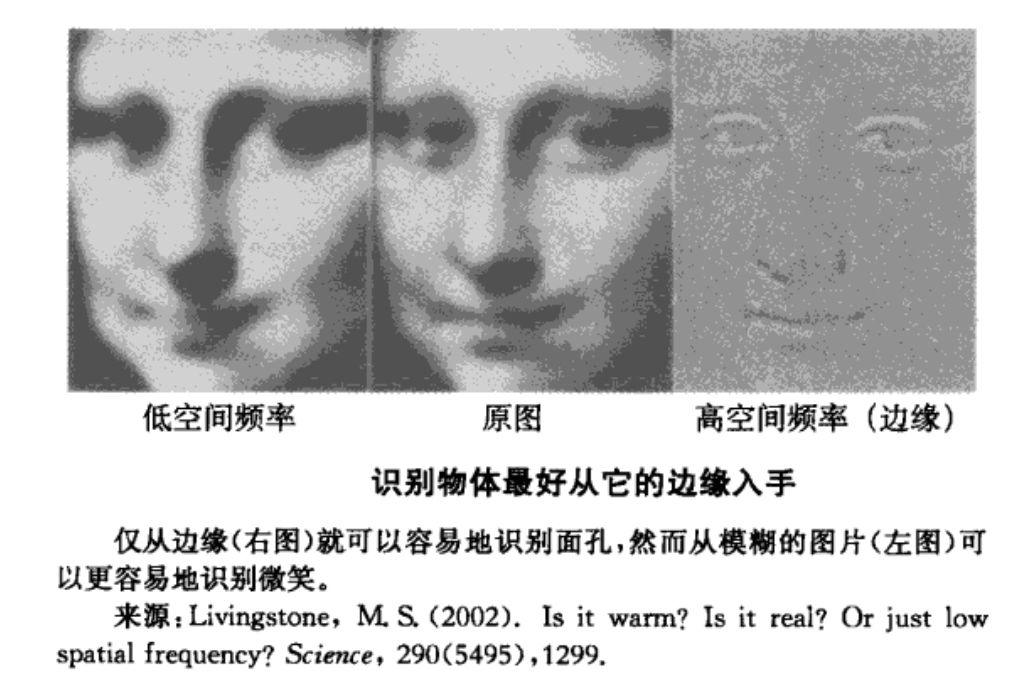 轮廓信息